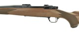"Ruger M77 .243 Win (nR23425)" - 5 of 5