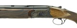 "Rizzini Aurum 12 Gauge(nS10702) New" - 4 of 5
