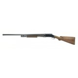 "Winchester 1897 12 Gauge (W10520)" - 5 of 5