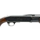 "Browning BPS 20 Gauge (S12221)" - 4 of 4