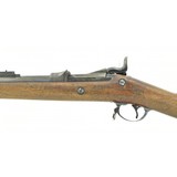 "U.S. Springfield Model 1884 Trapdoor .45-70 (AL4809)" - 11 of 12