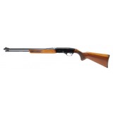 "Winchester 275 .22 Magnum (W11001)" - 3 of 4