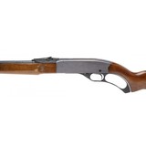 "Winchester 250 .22LR (W10993)" - 4 of 5