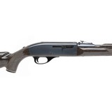 "Remington Nylon 66 .22LR (R28525)" - 4 of 4