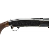 "Browning BPS 12 Gauge (S12303)" - 4 of 4