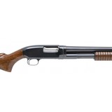 "Winchester 12 16 Gauge (W11018)" - 4 of 5