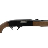 "Winchester 190 .22 LR (W11022)" - 3 of 5