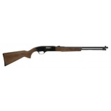 "Winchester 190 .22 LR (W11022)" - 1 of 5