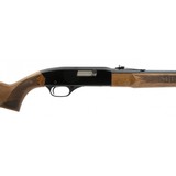 "Winchester 190 .22 LR (W11023)" - 3 of 5