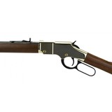 "Henry Golden Boy 17HMR(R27550)" - 1 of 4