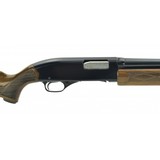 "Winchester 1200 12 Gauge (W9924)" - 1 of 4