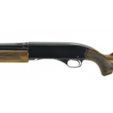 "Winchester 1200 12 Gauge (W9924)" - 4 of 4