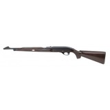 "Remington Nylon 66 .22 LR (R28794)" - 2 of 4