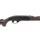 "Remington Nylon 66 .22 LR (R28794)" - 3 of 4