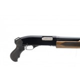 "Winchester 1200 12 Gauge (S12427)" - 4 of 4