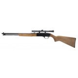"Winchester 190 .22 LR (W11070)" - 3 of 4