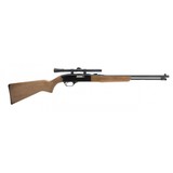 "Winchester 190 .22 LR (W11070)" - 1 of 4