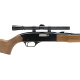 "Winchester 190 .22 LR (W11070)" - 4 of 4
