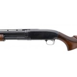 "Winchester 12 16 Gauge (W11086)" - 4 of 6