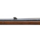 "Scarce Winchester Model 70 Westerner Featherweight .264 Win Mag (W11098)" - 3 of 6