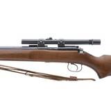 "Winchester 52 .22 LR (W11092)" - 4 of 4