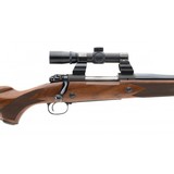 "Winchester 70 Super Express .458 Win Mag (W11106)" - 6 of 6