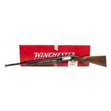 "Winchester 12 Limited Edition Grade 4 20 Gauge (W11125)" - 7 of 7