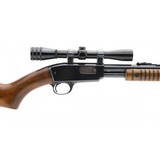 "Winchester 61 .22 Magnum (W11129)" - 6 of 6