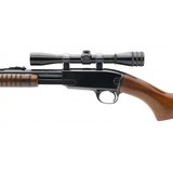 "Winchester 61 .22 Magnum (W11129)" - 4 of 6