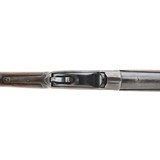 "Winchester 1901 Lever Action 10 Gauge Shotgun (W11237)" - 6 of 7