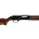 "Sears Roebuck 300 12 Gauge (S12476)" - 4 of 4