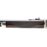 "Custom Winchester 1876 Deluxe .50 (W9451)" - 14 of 18