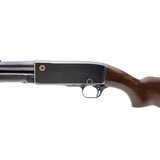 "Remington 141 Game Master .35 Rem. (R28982)" - 4 of 4