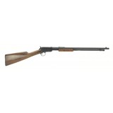 "Winchester 1906 .22 Short (W10602)" - 1 of 5