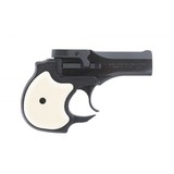 "High Standard Derringer .22 Magnum (PR52899)" - 1 of 4