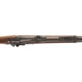 "Springfield 1884 Trapdoor 45-70 (AL5697)" - 6 of 8