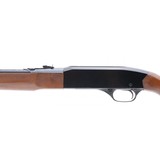 "Winchester 190 .22 LR (W11264)" - 5 of 6