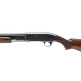 "Remington 31 Deluxe 20 Gauge (S12698)" - 4 of 4