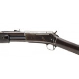 "Colt Large Frame Lighting Rifle 50 Express (AC206)" - 5 of 7
