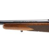 "Winchester 70 XTR 270 Win. (W11167)" - 3 of 5