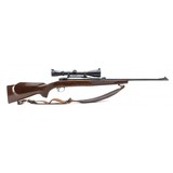 "Savage 110CL 243 Win. (R29220)" - 4 of 4