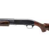 "Remington 31 Deluxe Skeet 20 Gauge (S12704)" - 4 of 4