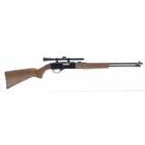 "Winchester 190 22LR (W11281)" - 1 of 5