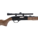 "Winchester 190 22LR (W11281)" - 5 of 5