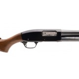 "Remington 31L 16 Gauge (S12594)" - 4 of 4