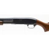 "Remington 31 20 Gauge (S12584)" - 2 of 4