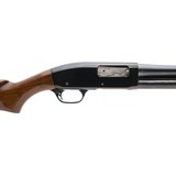 "Remington 31L 20 Gauge (S12590)" - 4 of 4