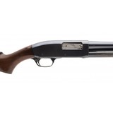 "Remington 31 16 Gauge (S12581)" - 4 of 4
