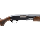 "Remington 31 Skeet 12 Gauge (S12582)" - 4 of 4