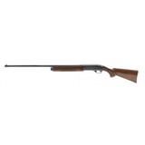 "Remington 1100 12 Gauge (S12887)" - 5 of 5